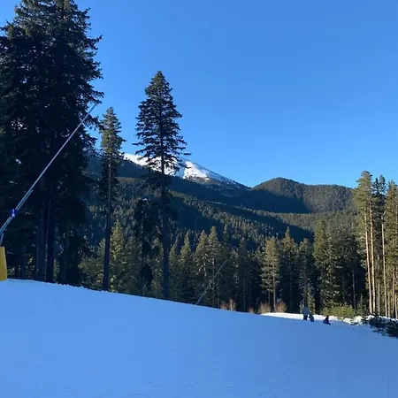 Beautiful Cosy Studio In * Bansko
